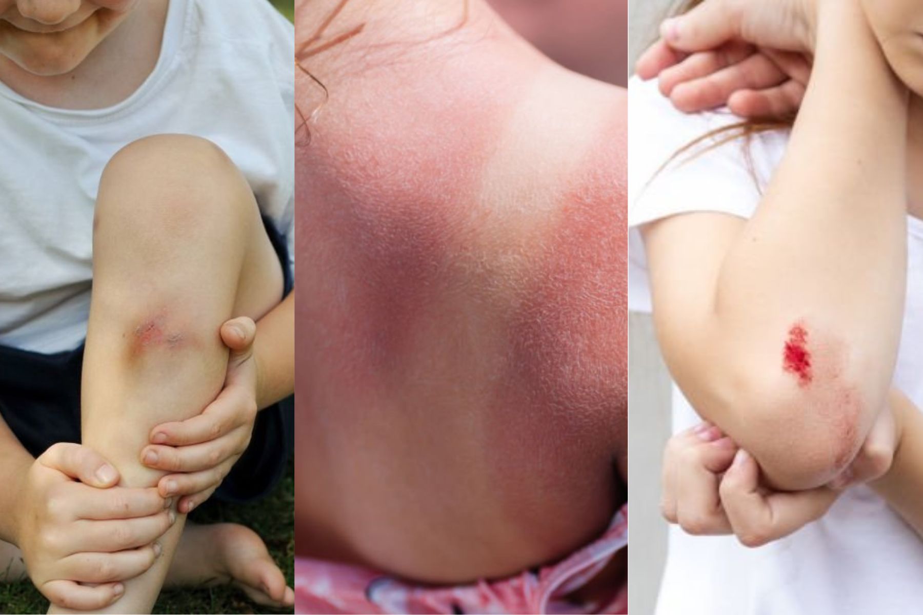 CPCMG’s Summer Survival Guide